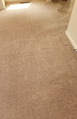 Carpet cleaning