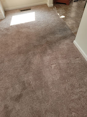 Carpet cleaning 